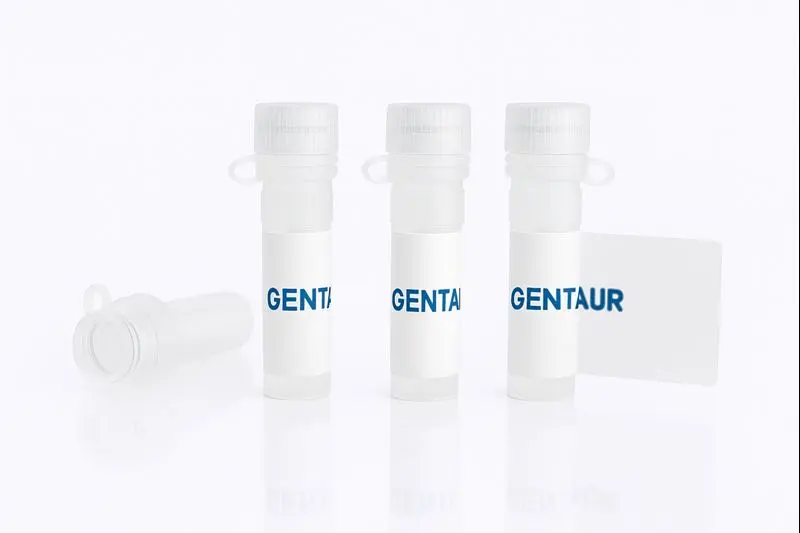 BCCIP, Human (sf9, His-GST)