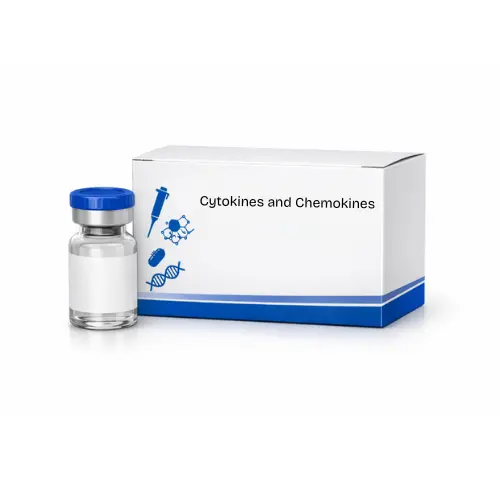 BCA-1/CXCL13, Human