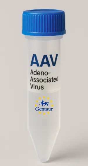 BCCIP AAV Vector (Mouse) (CMV)